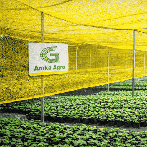 Fire Retardant HDPE Shade Net for Nursery & Agriculture Applications